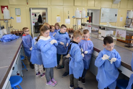 TFNiS 2024 - Chemiczny sezam [fot. Magdalena Barwiołek]